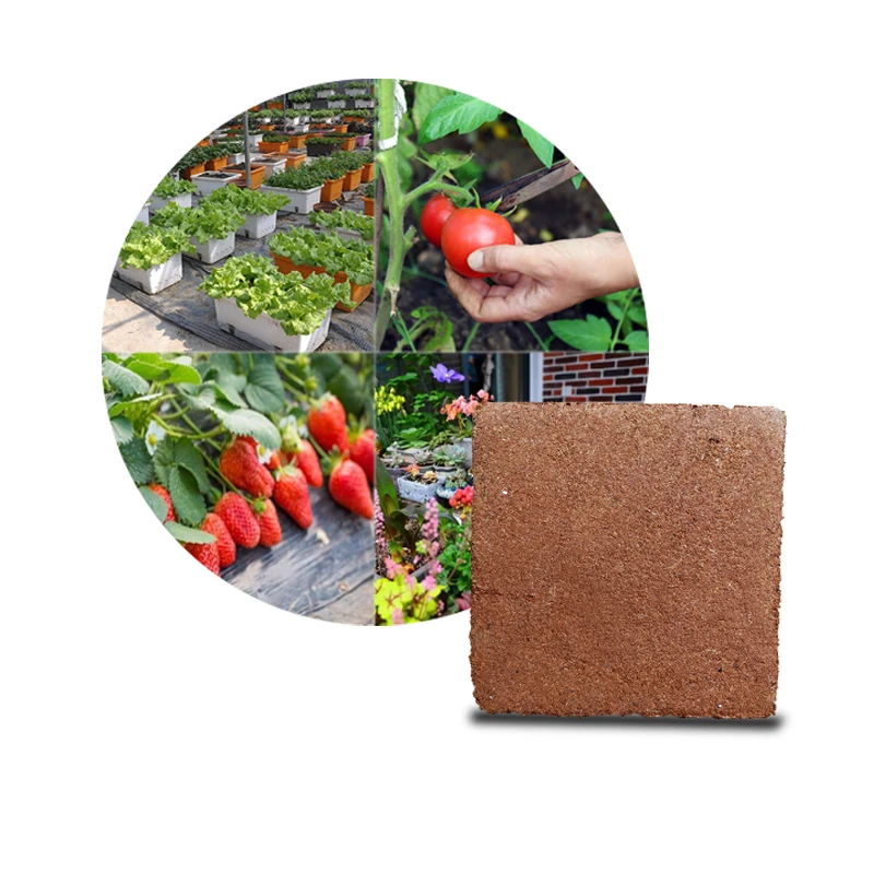 Horticultural Coco Bricks 650 Grams and 5 Kilograms Coconut Coir Brick for Sale