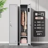 Single-door locker [gray and white]