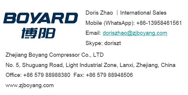 DC 12V 24V 48V Mini Refrigeration System Condensing Unit With Zhejiang Boyard R134a Dc 12v 24v 48v Mini Rotary Compressor