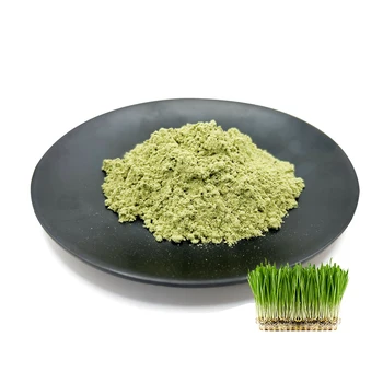 Factory Price Health Organic Drink Barley Grass Juice Powder Green Barley Grass Extract Powder for Lose Weight Body Detox Diet