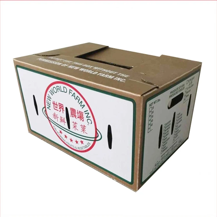 Printed Corrugated Cardboard Frozen Meat Carton Box Waxed Packaging