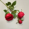 #5 Rose
