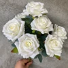 Bianco crema