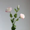 Rosa-58cm