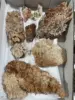 Esemplare di cluster di calcite arancione Hubei