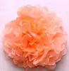 Peach MF2101