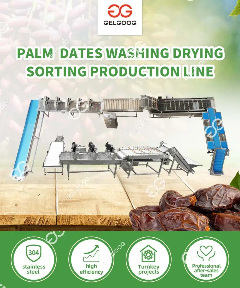 Date Palm Washing and Drying Pitting Production Line Packaging and ...