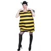 insect