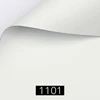 1101