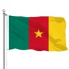 Banderas de Camerún