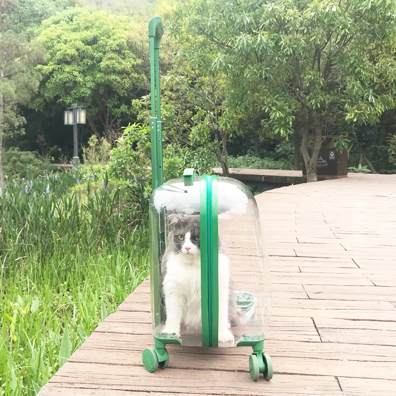 Pet Carrier On Wheels Fully Transparent Pet Trolley Carry Bag Airline Approved Pet Cabin Travel Bag