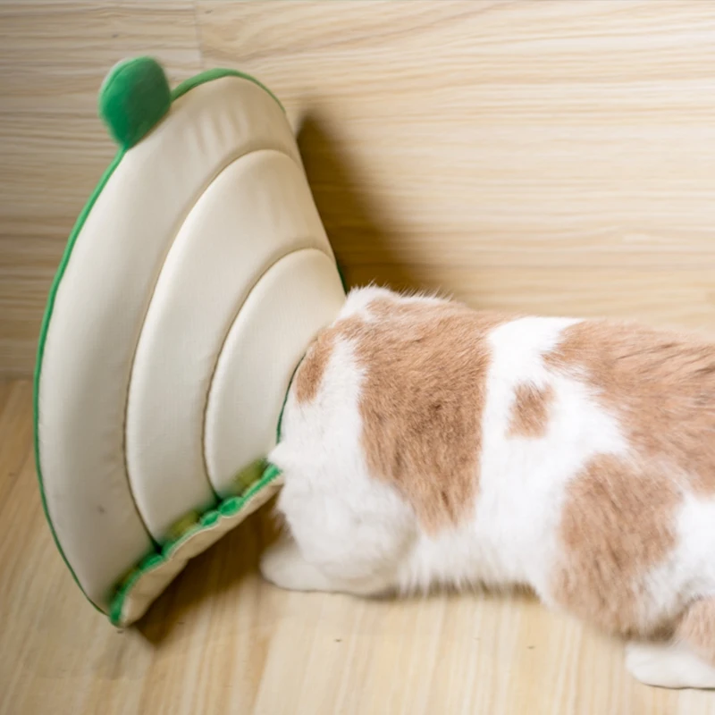 Новый дизайн милые трафареты для домашних животных Елизаветы воротник