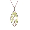 Verde oliva