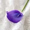 Roland purple