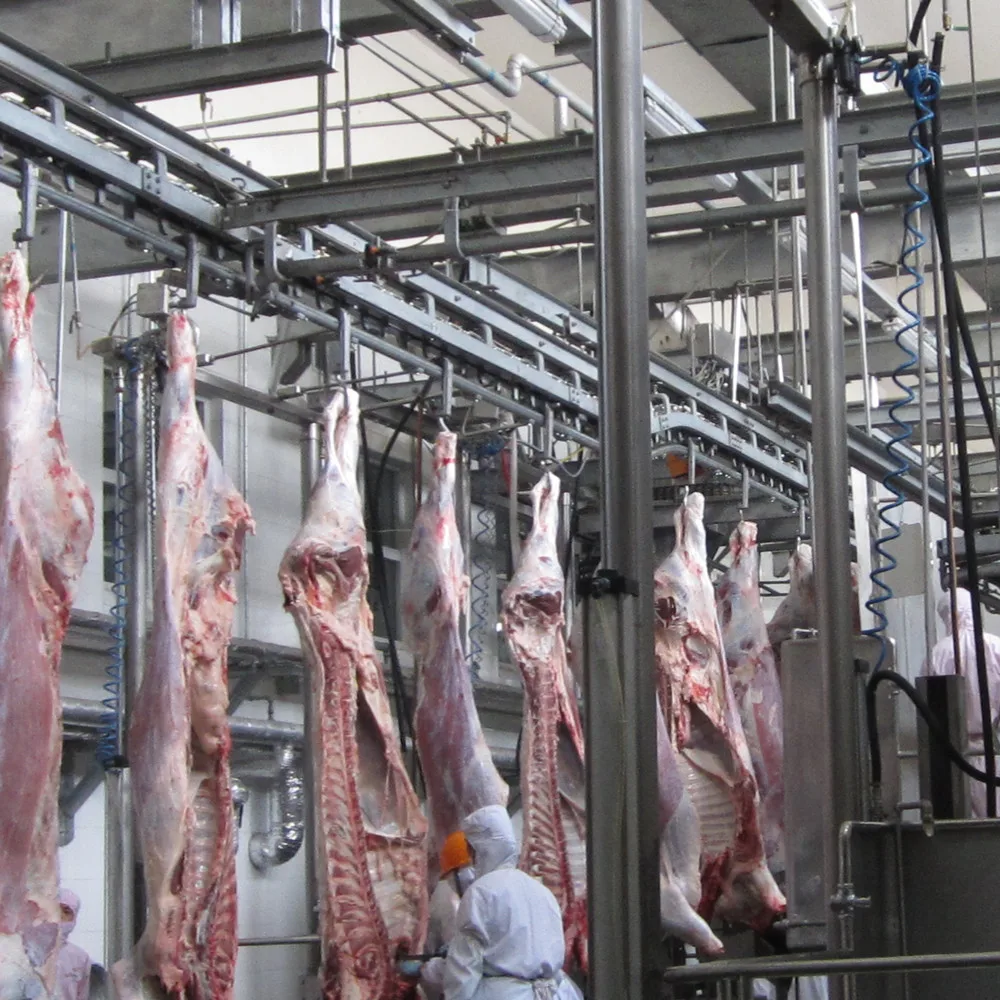 Meat processing and slaughtering machine for donkey slaughterhouse