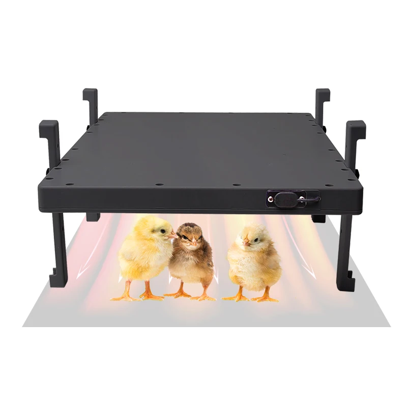 Poultry Heating Incubation Equipment Chicken House Radiant Poultry