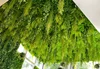 Green Wonderland