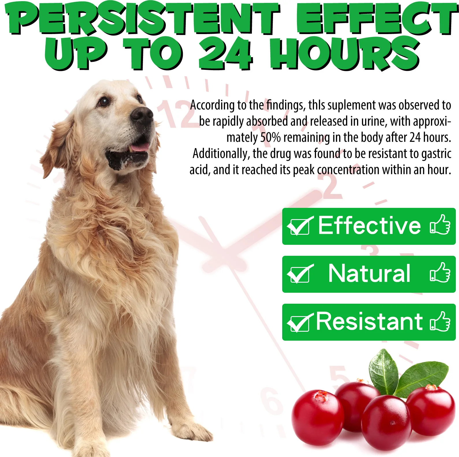 Oimmal Yeast Infection Treatment for Dogs - Natural Urinary Tract Support