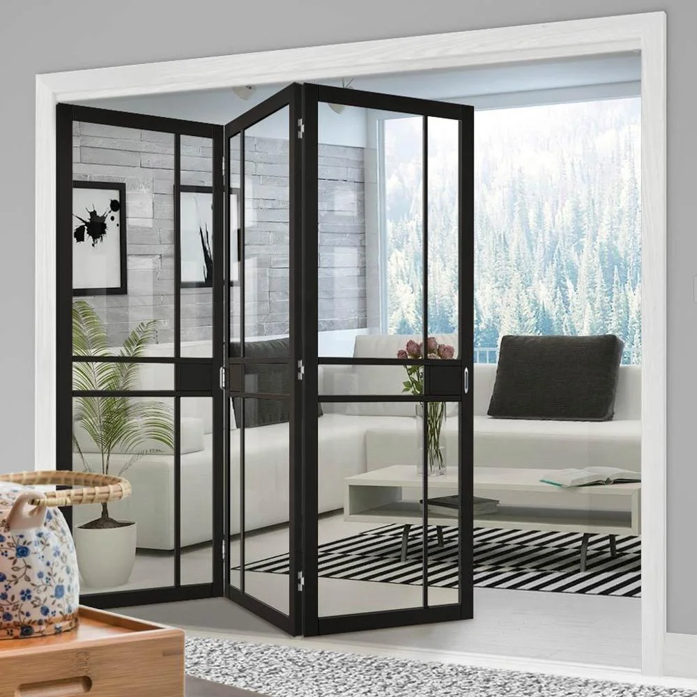 Luxury Folding Iron Double Doors Security Entry Steel Low E Glass with Sidelights Interior Matt Black