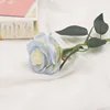 Ice blue