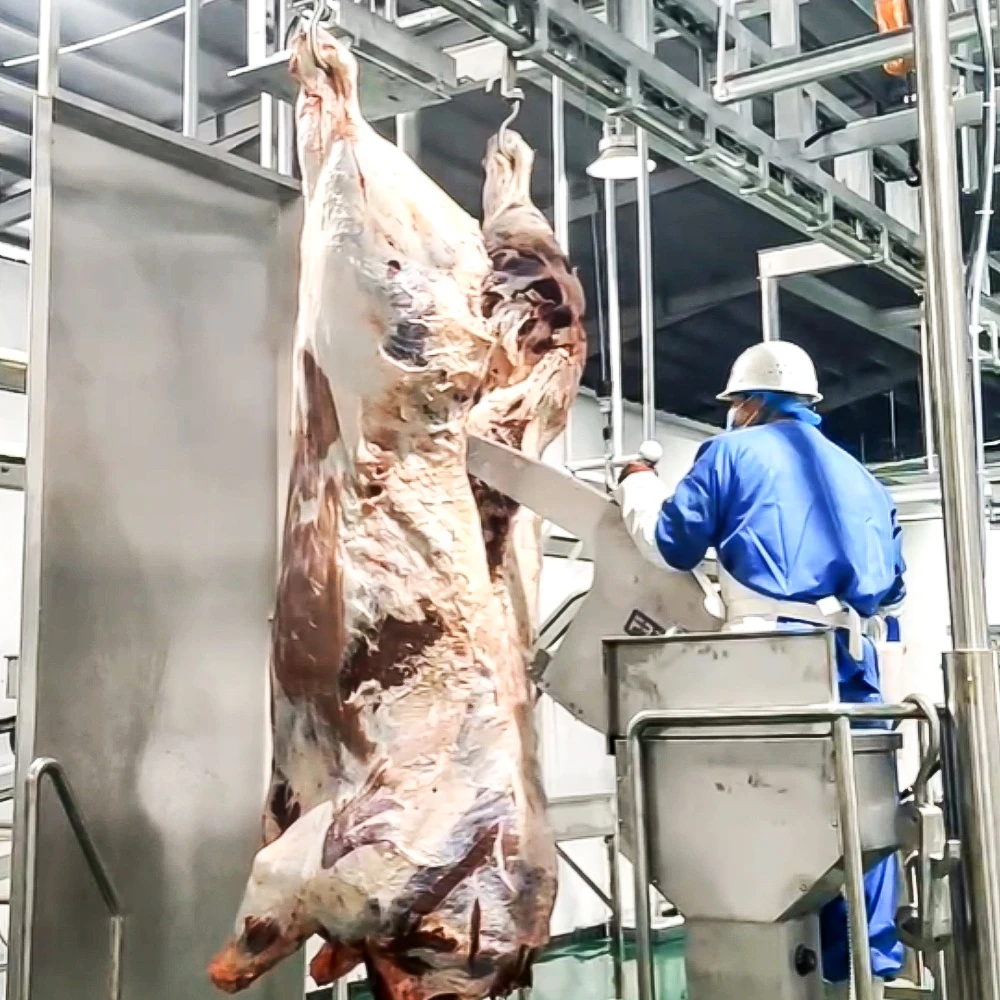 Free Design Slaughterhouse Project 200 Cattle Per Shift Beef Processing Buffalo Slaughterhouse Machinery