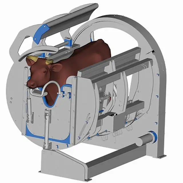 Kill box for cattle buffalo slaughterhouse slaughterhouse equipment