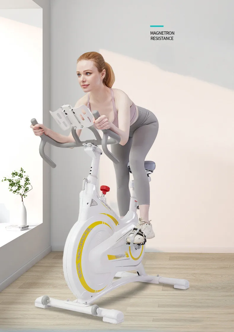 Top Sports Gym Indoor Professional Magnetic Body Fit Exercise Spinning Bike Stable Pedestal Fitness Bicycle Bike For Home factory