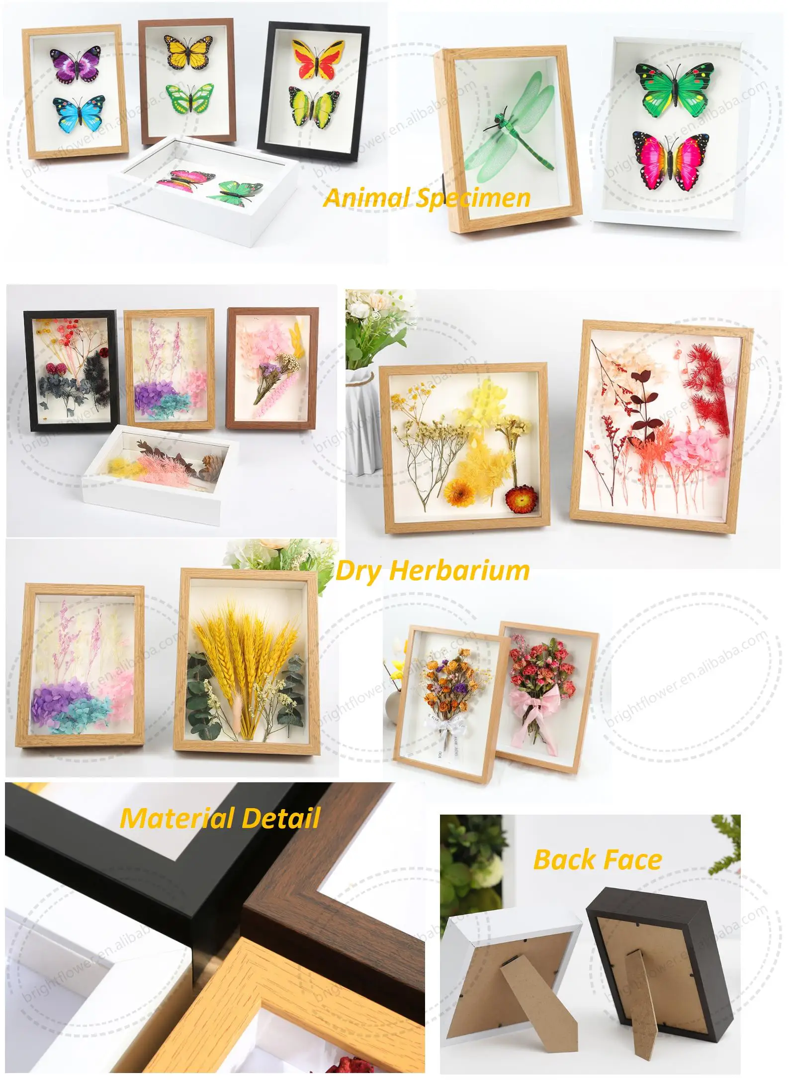 High Quality Wooden 3d Shadow Box Frame Diy Dried Flowers Nice Conch