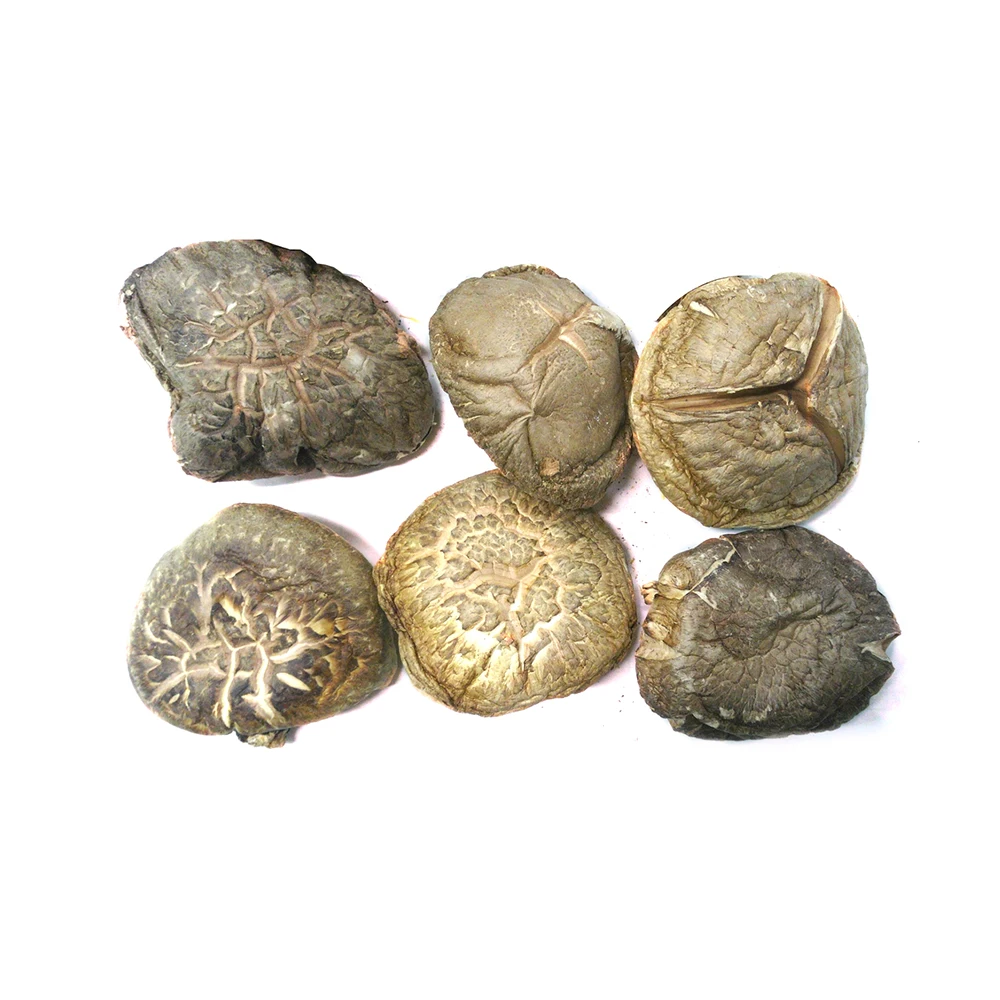 Японский экспорт сушеных грибов шиитаке большого размера для оптовой продажи