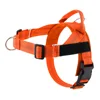 color naranja