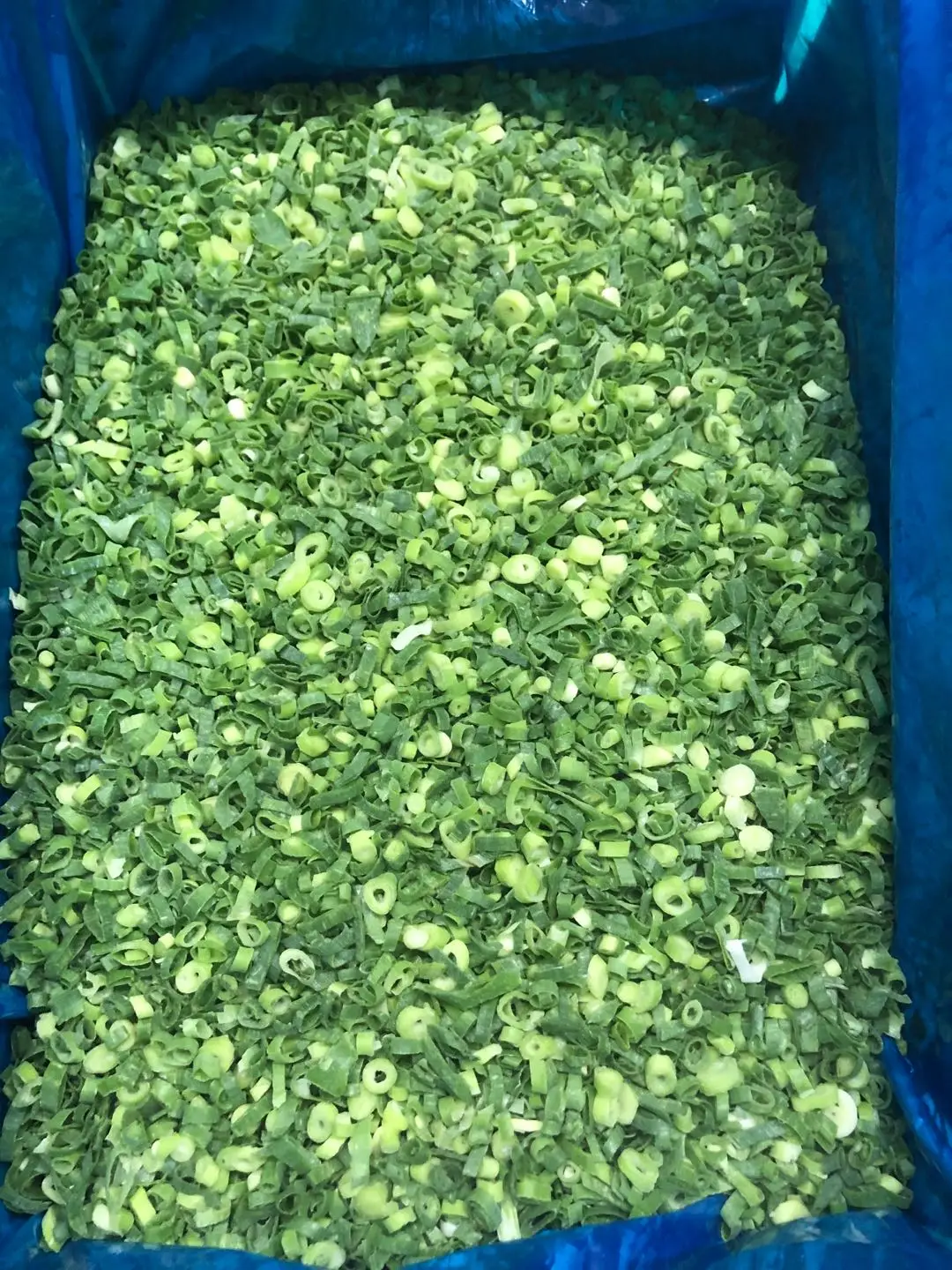 High Quality China Supplier IQF Vegetables Bulk 10kg IQF Frozen Spring Onion