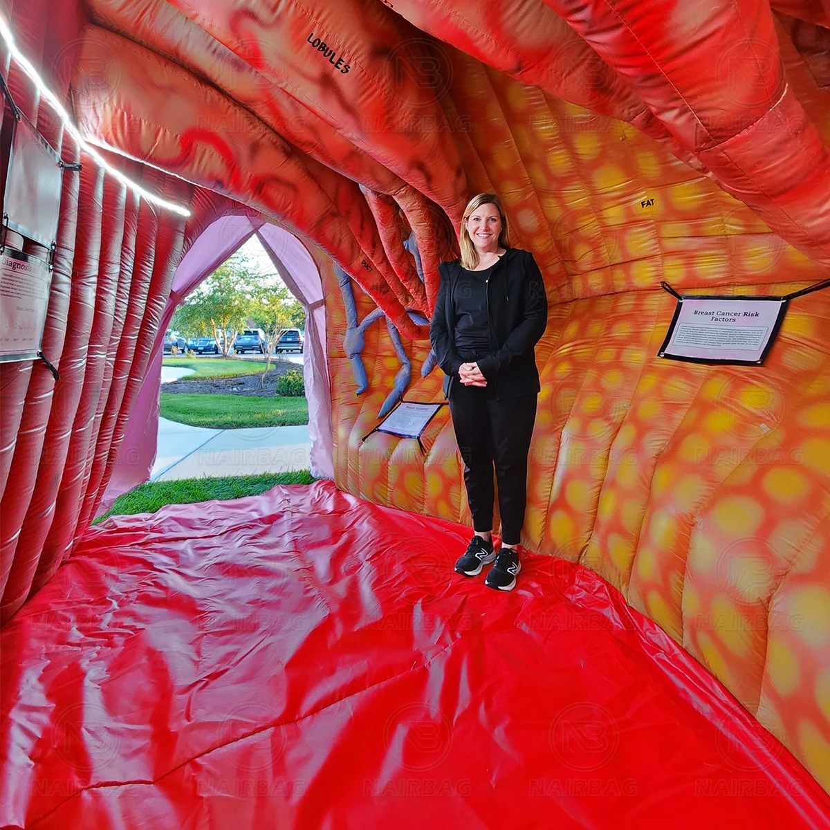 Inflatable Breasts Model Artifical Giant Blow up Female Breast Anatomical Model for Medical Exhibition