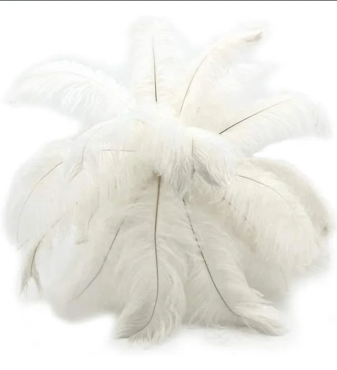FREE Shipping 16-18in Ostrich Feather From Factory Supply Bulk Ostrich Feather Tree