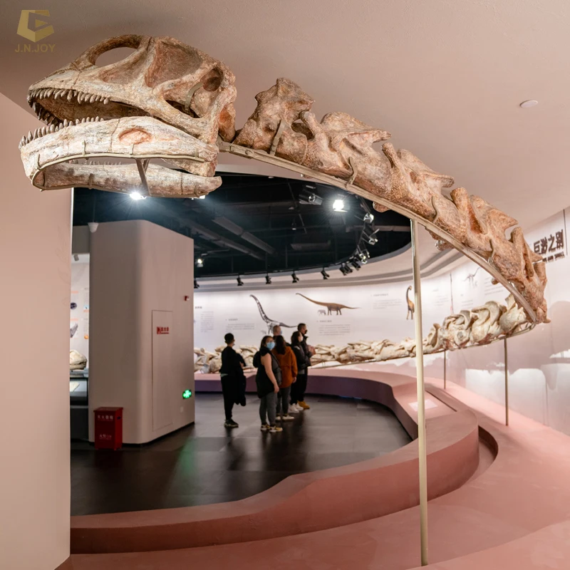 SGSR32博物館展示 恐竜化石 大型ティラノサウルス恐竜骨格模型 販売中
