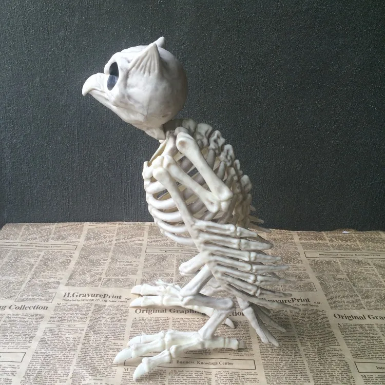 Crazy Bonez Skeleton Owl for Halloween Decor - Realistic Plastic