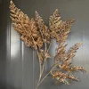 Erba nebbiosa dorata