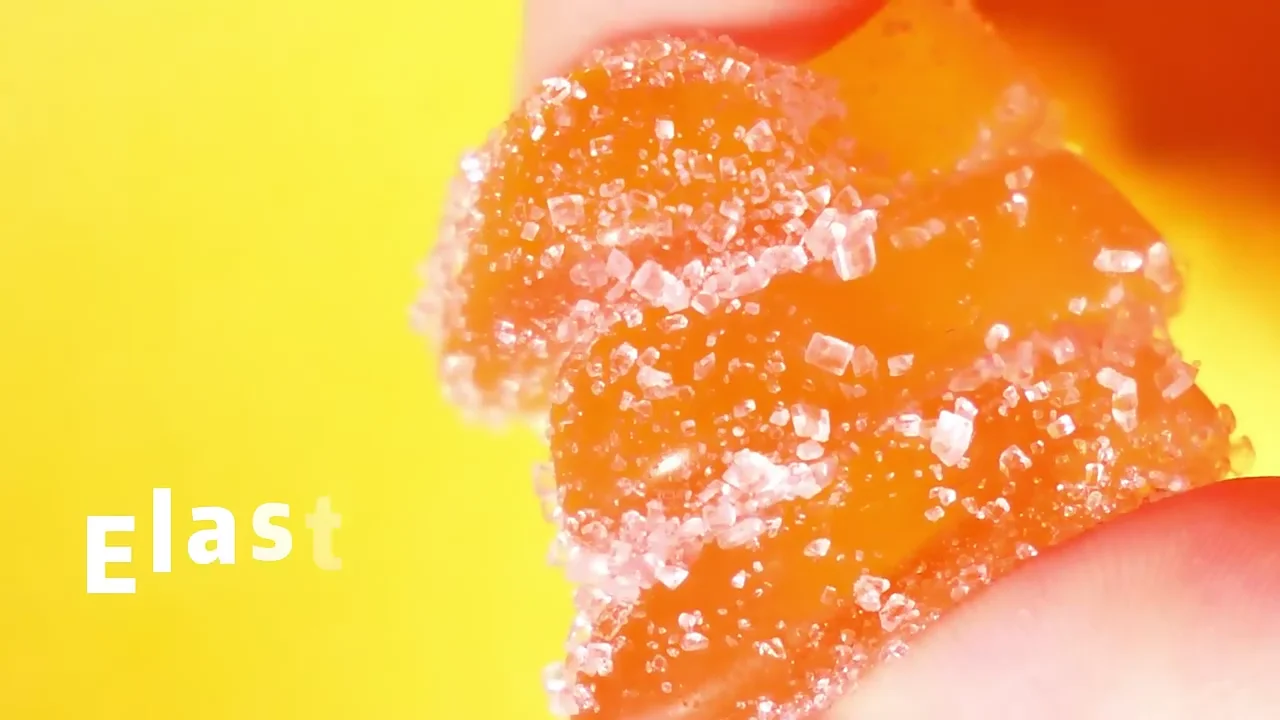 Wholesale Gelatin Price Powder Beef Gelatin Powder Halal Gelatine For