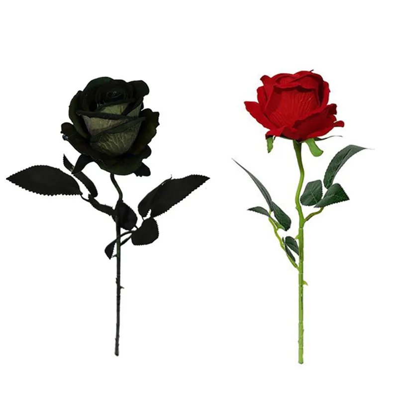 Rosa Di Colore Rosso E Petali Di Rosa Fotografia Stock - Immagine di