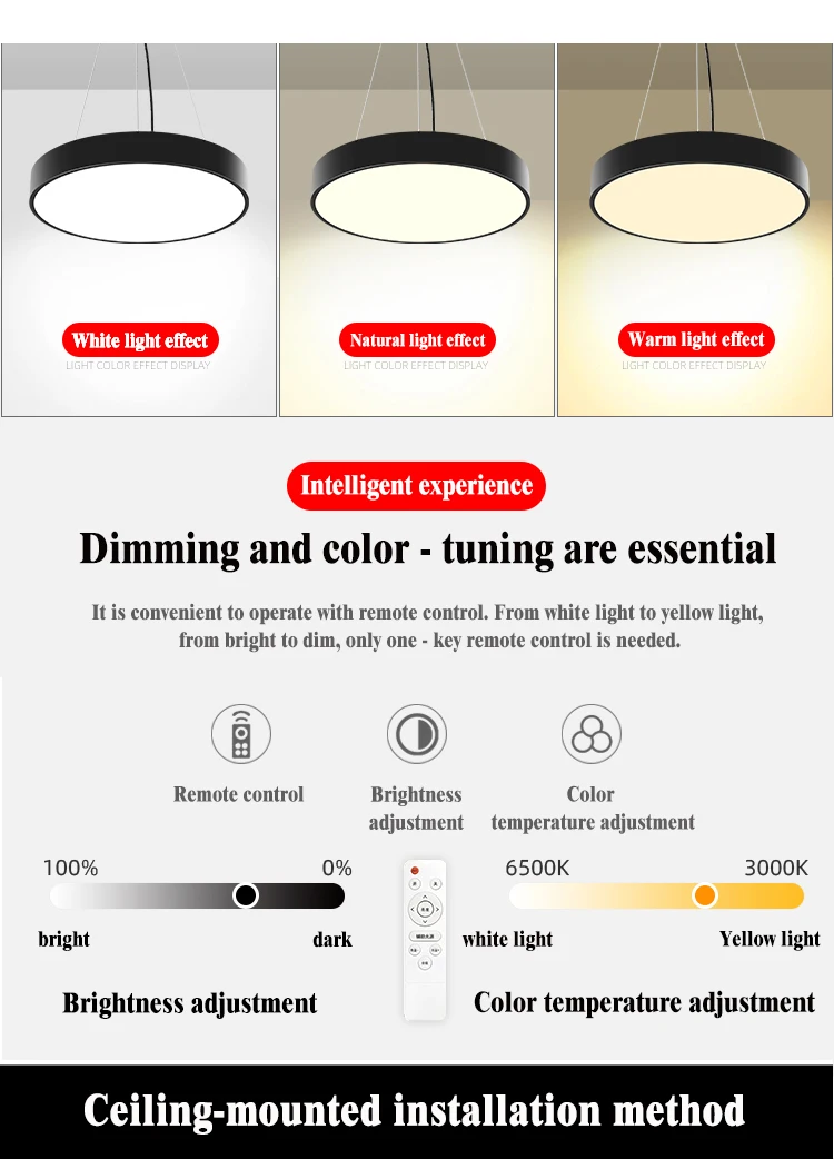LED circular lamp_24