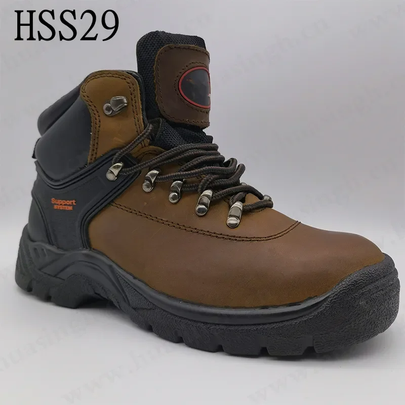 HSS29 (2)