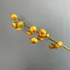 Little golden pumpkin-yellow