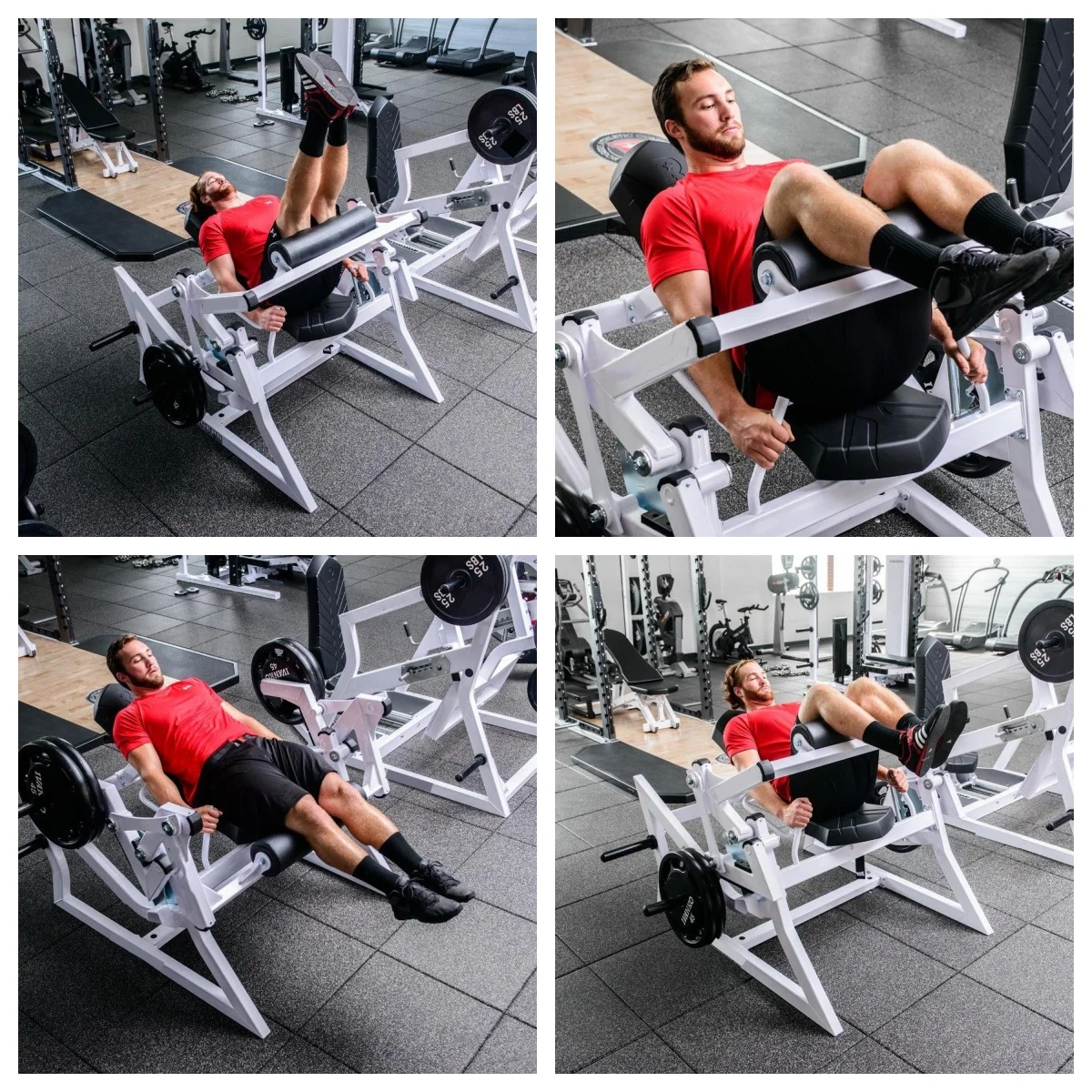 Commercial Glute Ham Developer Roman Chair Hyperextension Hips Training