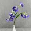 Blu viola