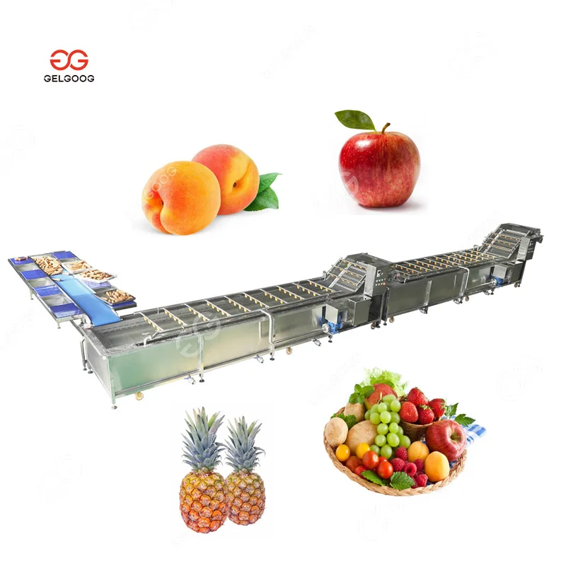 Water Melon Vegetable Washing Machine Fruit and Vegetable Wash Fruit Cleaning With Ozone