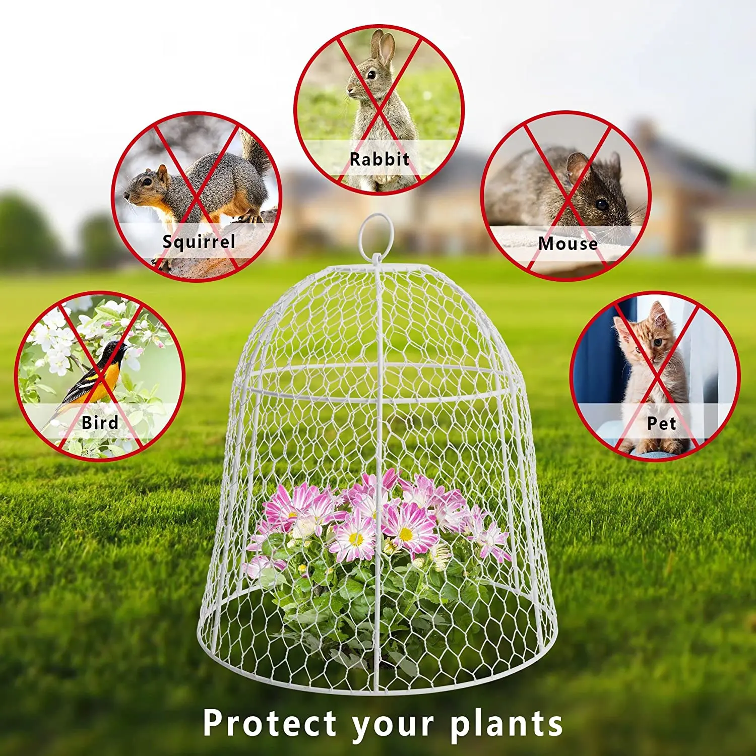 Metal Plant Guards Protector Young Plants Dome Cover Chicken Wire Garden Cloche From Being Eaten