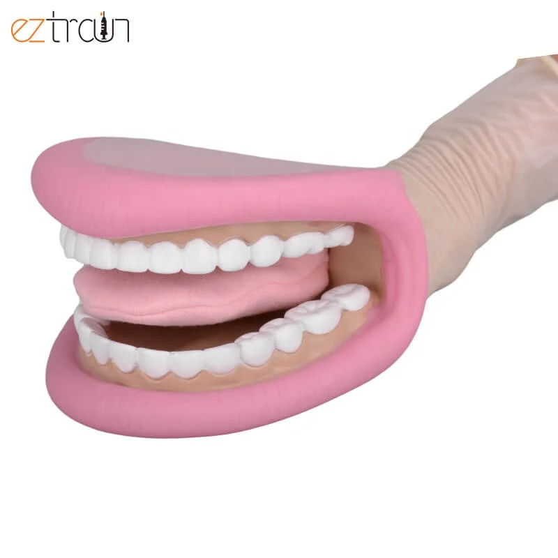 Custom PVC Hand Puppet With Teeth Movable Tongue Include Toothbrush Dental Model Mouth Puppet