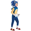 Sonic regular model