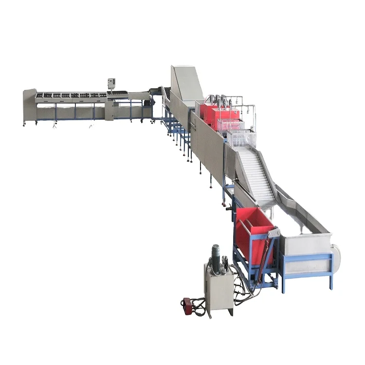 Mango Fruit Weight Classifier Sorting Machines