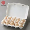 15 huevos