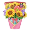 Girasole
